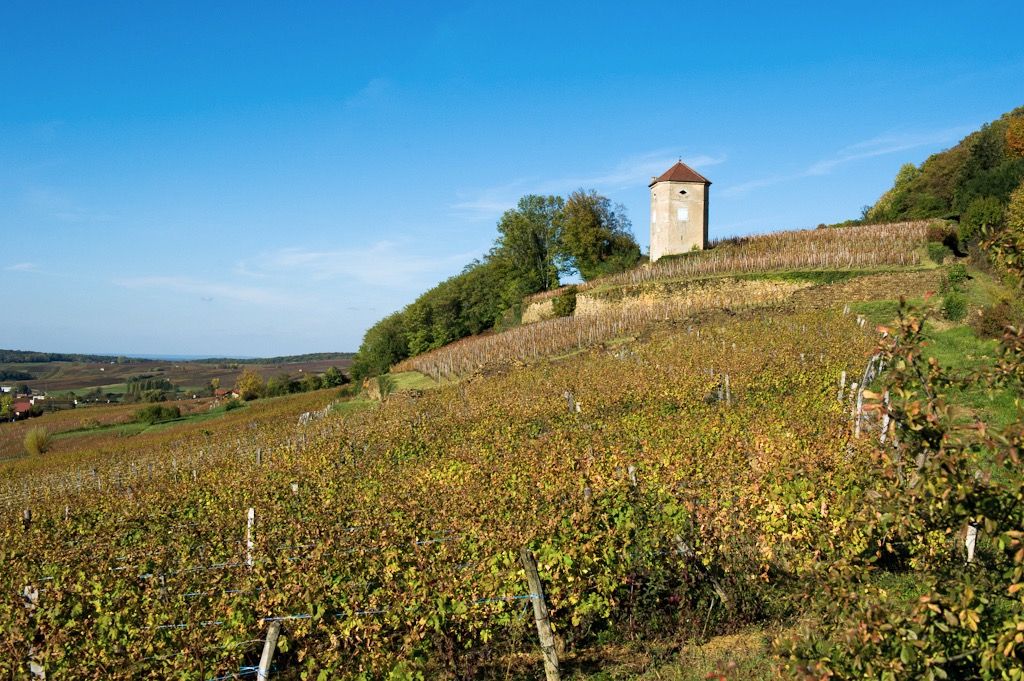 Communes Arbois Tour de Curon Arbois-74